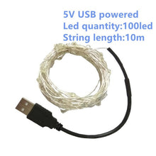 Load image into Gallery viewer, 2M 5M 10M LED Fairy String Wire WaterproofHoliday Christmas Decoration